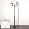 Loria Luminaire extérieur, Réverbère, Eclairage de chemin Noir, Argenté, 2 lumières