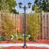 Loria Luminaire extérieur, Réverbère, Eclairage de chemin Noir, 2 lumières