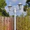 Loria Luminaire extérieur, Réverbère, Eclairage de chemin Blanc, 2 lumières