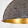 Baval Lampadaire Écru, Noir, 1 lumière