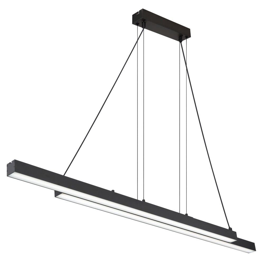 GREKKIE Suspension Luminaires Globo Lighting LED Noir, 1 lumière, Télécommandes main product photo