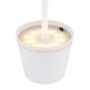 SOLAR Lampe de table d'extérieur, Lampe solaire Luminaires Globo Lighting LED, 1 lumière