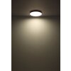 Matthew Plafonnier Luminaires Globo Lighting LED Blanc, 1 lumière