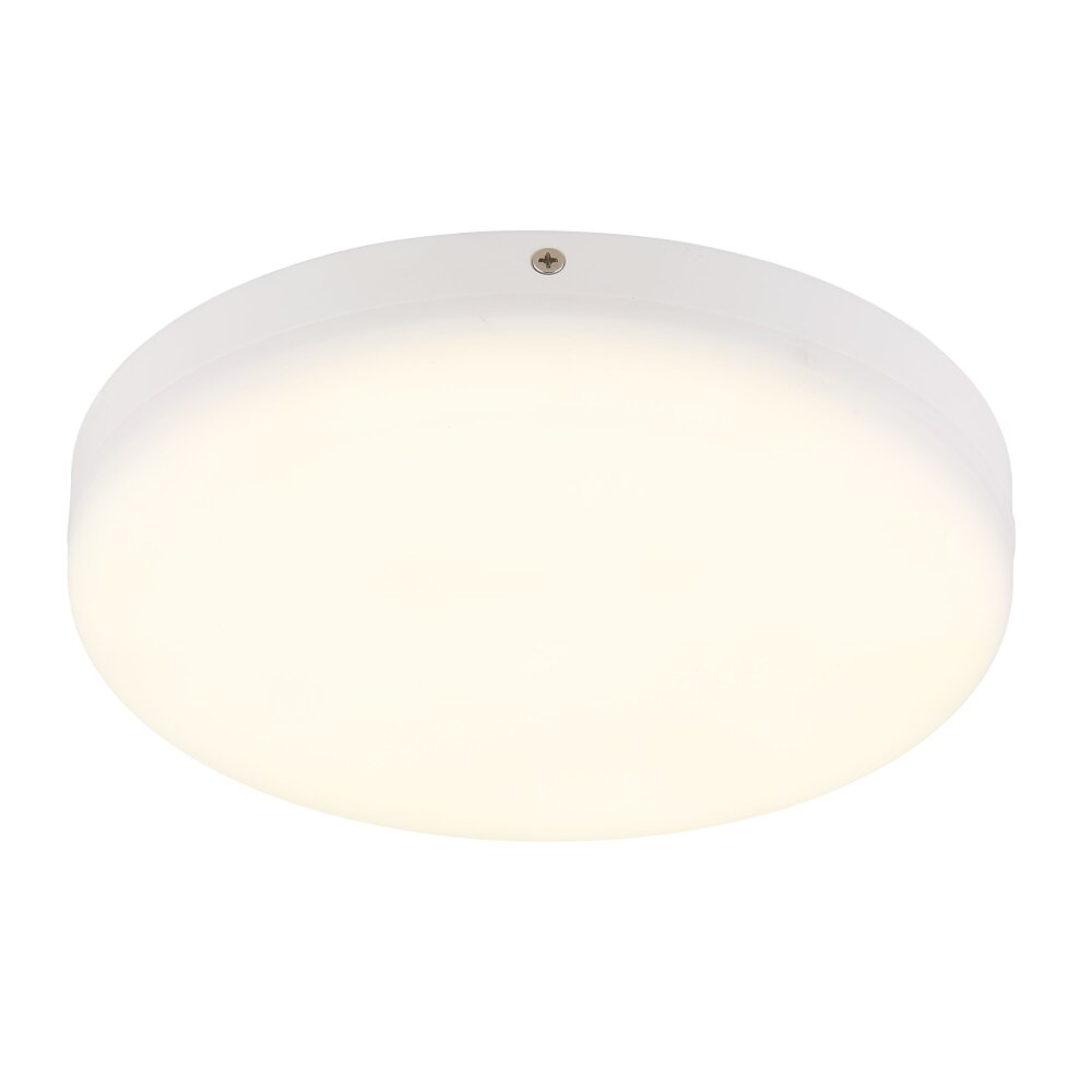 Matthew Plafonnier Luminaires Globo Lighting LED Blanc, 1 lumière main product photo
