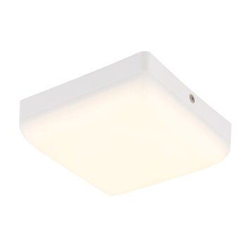 Matthew Plafonnier Luminaires Globo Lighting LED Blanc, 1 lumière