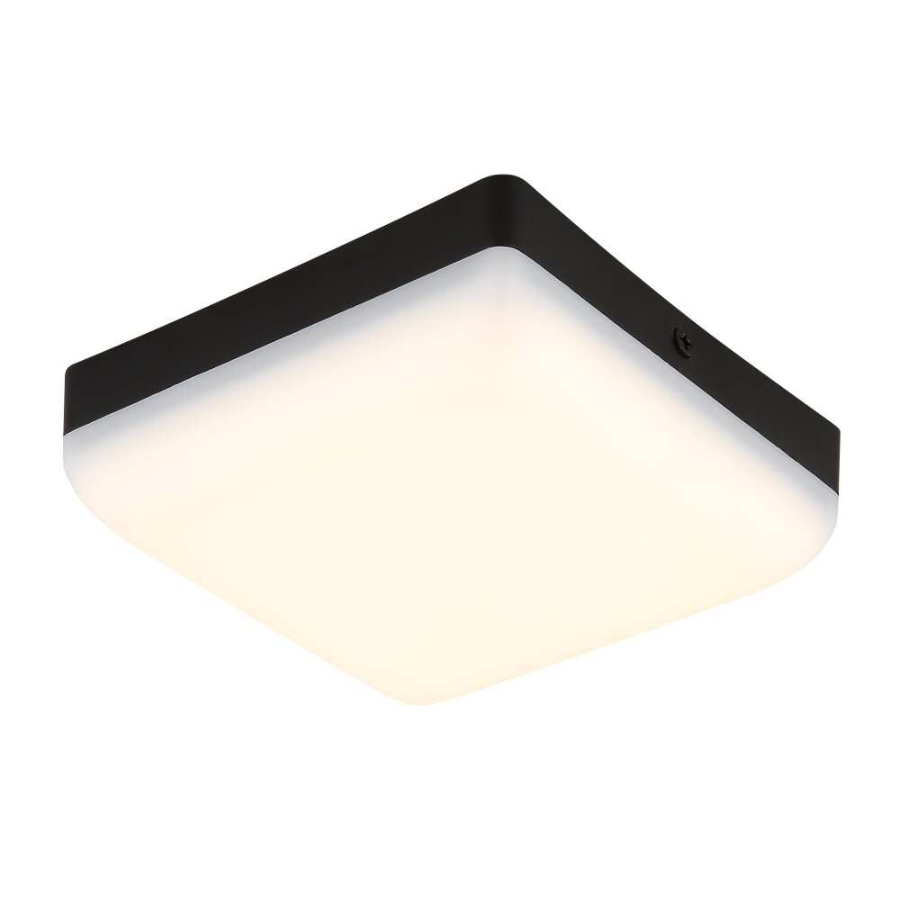 Matthew Plafonnier Luminaires Globo Lighting LED Noir, 1 lumière main product photo