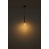 Blake Suspension Luminaires Globo Lighting Noir, 1 lumière