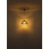 Baku Suspension Luminaires Globo Lighting Noir, 1 lumière
