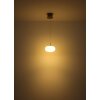 Quintara Suspension Luminaires Globo Lighting LED Noir, 1 lumière