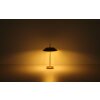 Brenlor Lampe à poser Luminaires Globo Lighting Laiton, 2 lumières