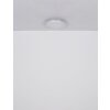 Abigail Plafonnier Luminaires Globo Lighting LED Blanc, 1 lumière