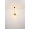 Firefly Suspension Luminaires Globo Lighting LED Noir, 1 lumière