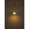 Jella Suspension Luminaires Globo Lighting Noir, 1 lumière