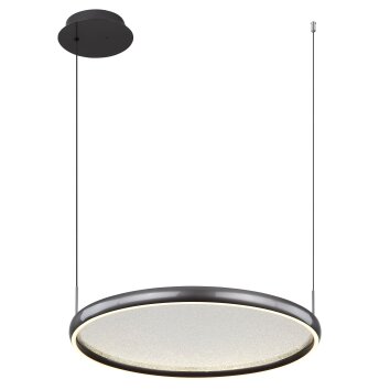 Briggs Suspension Luminaires Globo Lighting LED Noir, 1 lumière, Télécommandes