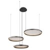 Briggs Suspension Luminaires Globo Lighting LED Noir, 1 lumière, Télécommandes