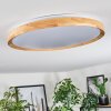Sofo Plafonnier, Panel LED Blanc, 1 lumière, Télécommandes