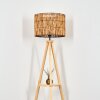 Cando Lampadaire Écru, 1 lumière