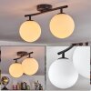Gastor Plafonnier, Boule lumineuse Blanc, 2 lumières