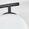 Gastor Plafonnier, Boule lumineuse Blanc, 2 lumières