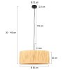 Light Suspension Luminaires Steinhauer Noir, 1 lumière