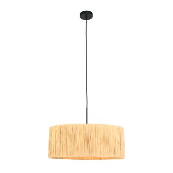 Light Suspension Luminaires Steinhauer Noir, 1 lumière