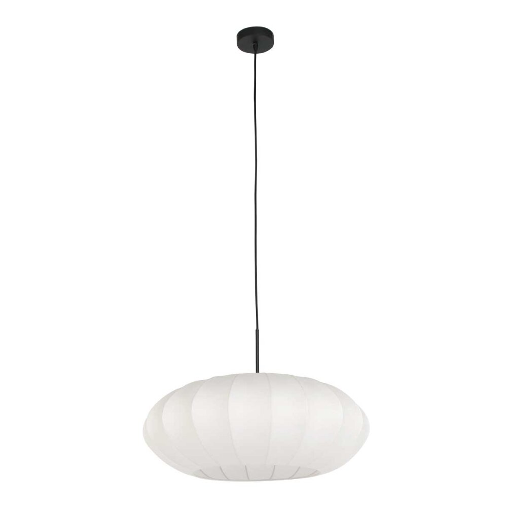 Light Suspension Luminaires Steinhauer Noir, 1 lumière main product photo