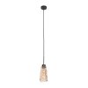 Vidrio Suspension Luminaires Steinhauer Noir, 1 lumière