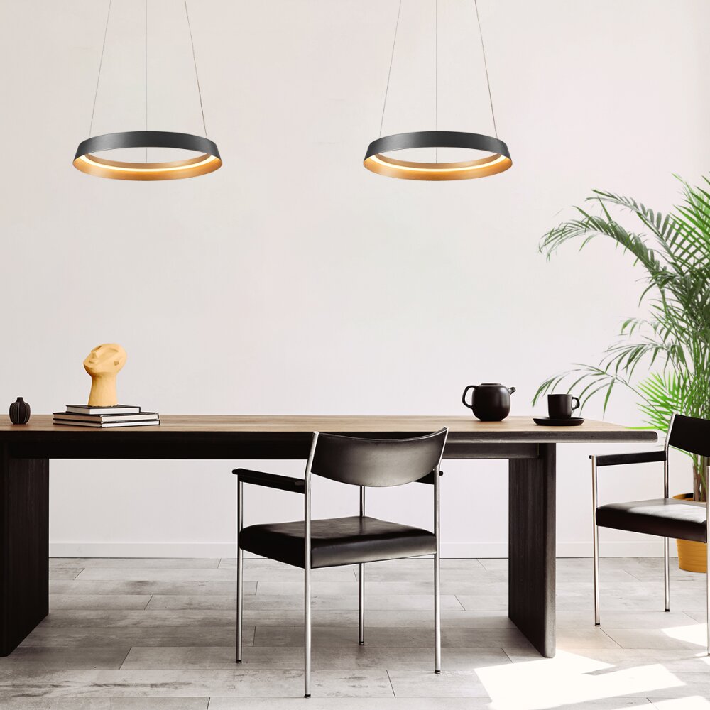 Ringlux Suspension Luminaires Steinhauer LED Noir, 1 lumière main product photo