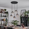 Gastor Suspension, Boule lumineuse, Suspension Clair, Fumé, 5 lumières