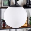 Gastor Suspension, Boule lumineuse, Suspension Blanc, 5 lumières