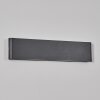 Gamas Lampe murale d´extérieur, Luminaire de salle de bain, Applique murale, Spot mural Anthracite, 1 lumière