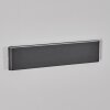 Gamas Lampe murale d´extérieur, Luminaire de salle de bain, Applique murale, Spot mural Anthracite, 1 lumière