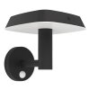 DREOLI Luminaire extérieur Luminaires Eglo LED Noir, 1 lumière, Détecteur de mouvement