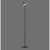 AMAG Lampadaire Luminaires Leuchten Direkt LED Noir, 1 lumière