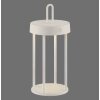 ANSELM Lampe à poser Luminaires Leuchten Direkt LED Gris, 1 lumière