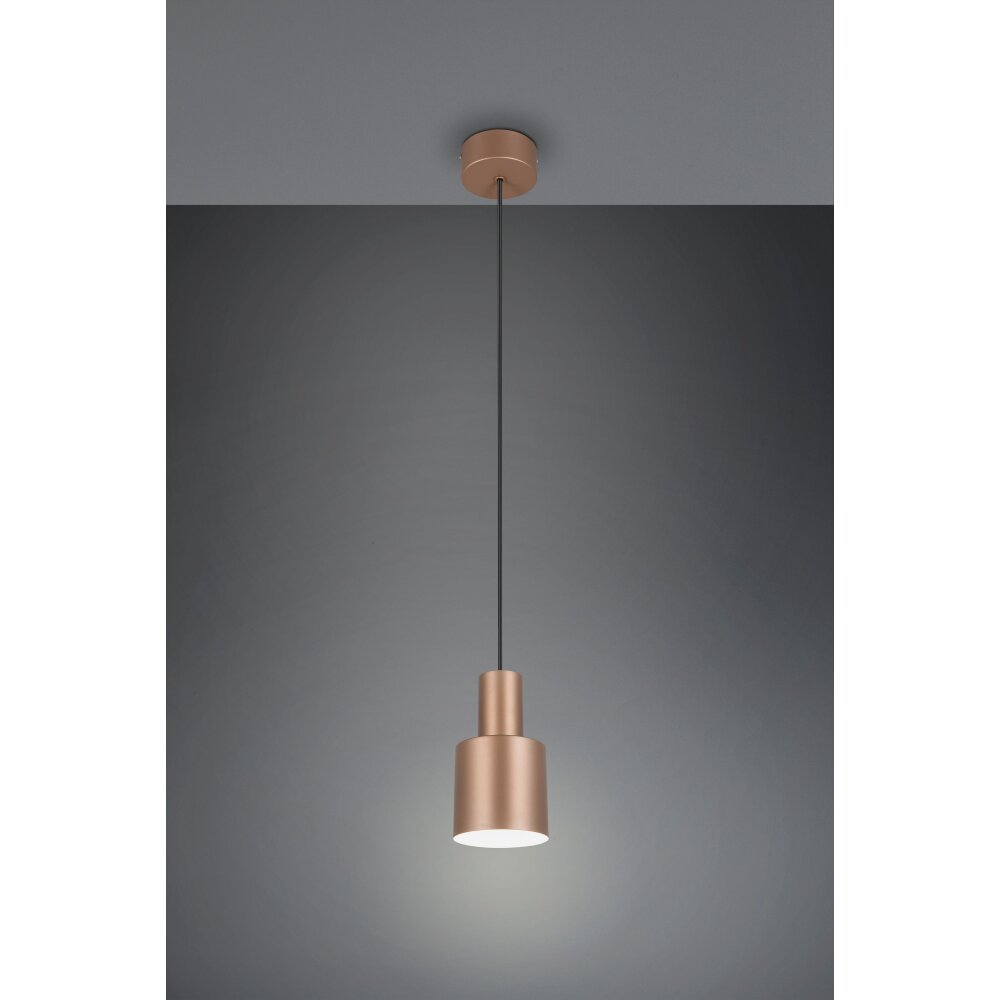 Agudo Suspension Luminaires Trio Brun, 1 lumière main product photo