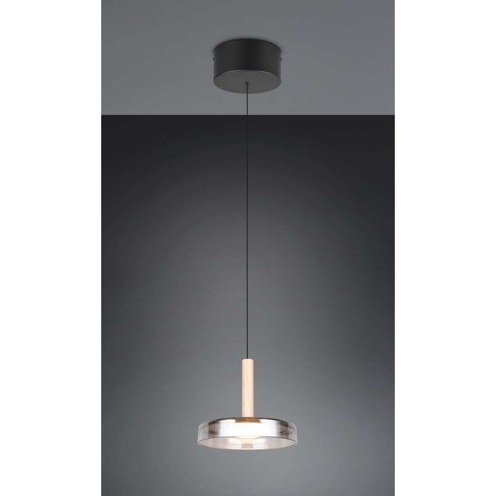 Celeste Suspension Luminaires Trio LED Noir, 1 lumière main product photo
