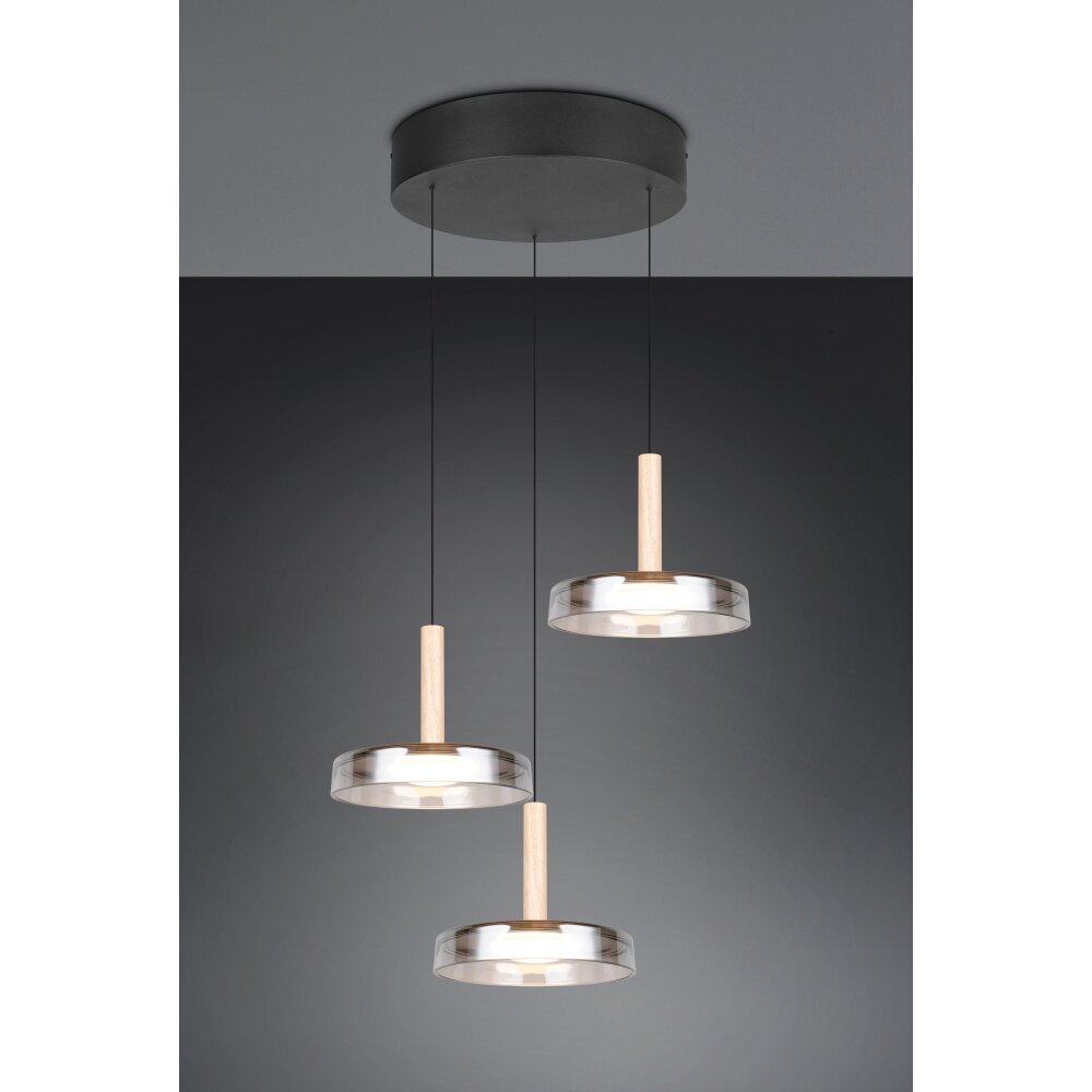 Celeste Suspension Luminaires Trio LED Noir, 1 lumière main product photo