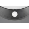 Cobre Applique murale Luminaires Reality LED Noir, 1 lumière, Détecteur de mouvement