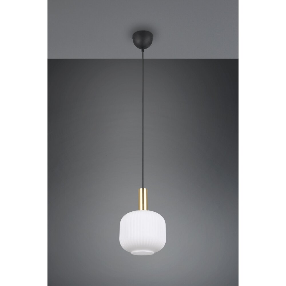 Diva Suspension Luminaires Trio Laiton, 1 lumière main product photo