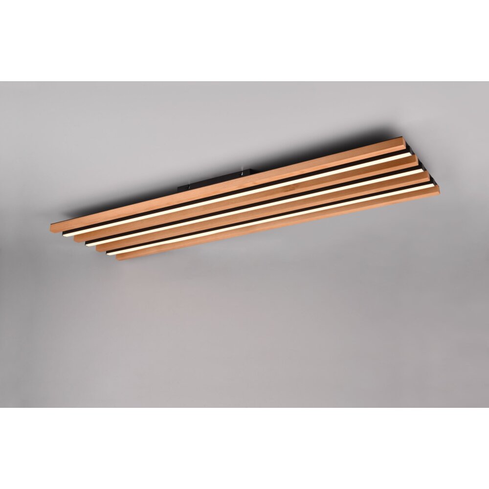 Fontana Plafonnier Luminaires Trio LED Noir, 1 lumière main product photo