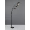 Marley Lampadaire, Lampadaires arc Luminaires Trio Noir, 5 lumières