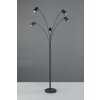 Marley Lampadaire, Lampadaires arc Luminaires Trio Noir, 5 lumières