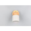 Shanti Spot de plafond Luminaires Trio Gris, 1 lumière