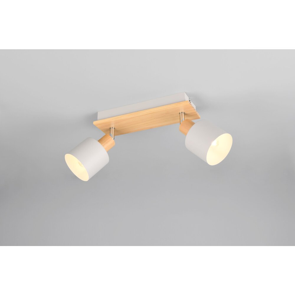 Shanti Spot de plafond Luminaires Trio Gris, 2 lumières main product photo