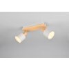 Shanti Spot de plafond Luminaires Trio Gris, 2 lumières