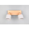 Shanti Spot de plafond Luminaires Trio Gris, 2 lumières