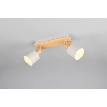 Shanti Spot de plafond Luminaires Trio Gris, 2 lumières