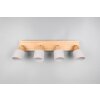 Shanti Spot de plafond Luminaires Trio Gris, 4 lumières