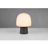 Steen Lampe à poser Luminaires Trio Noir, 1 lumière